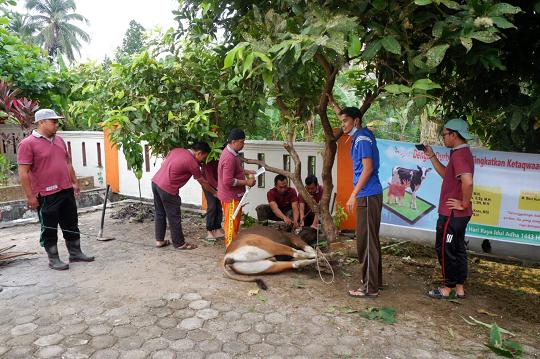 Qurban 2
